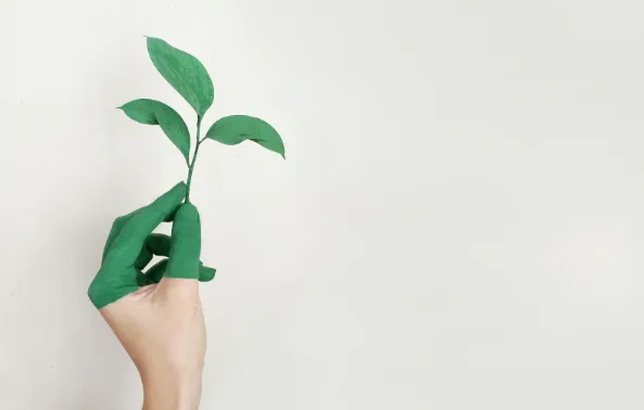Why 100% Recycled Paper Tubes Are the Future of Packaging in Malaysia